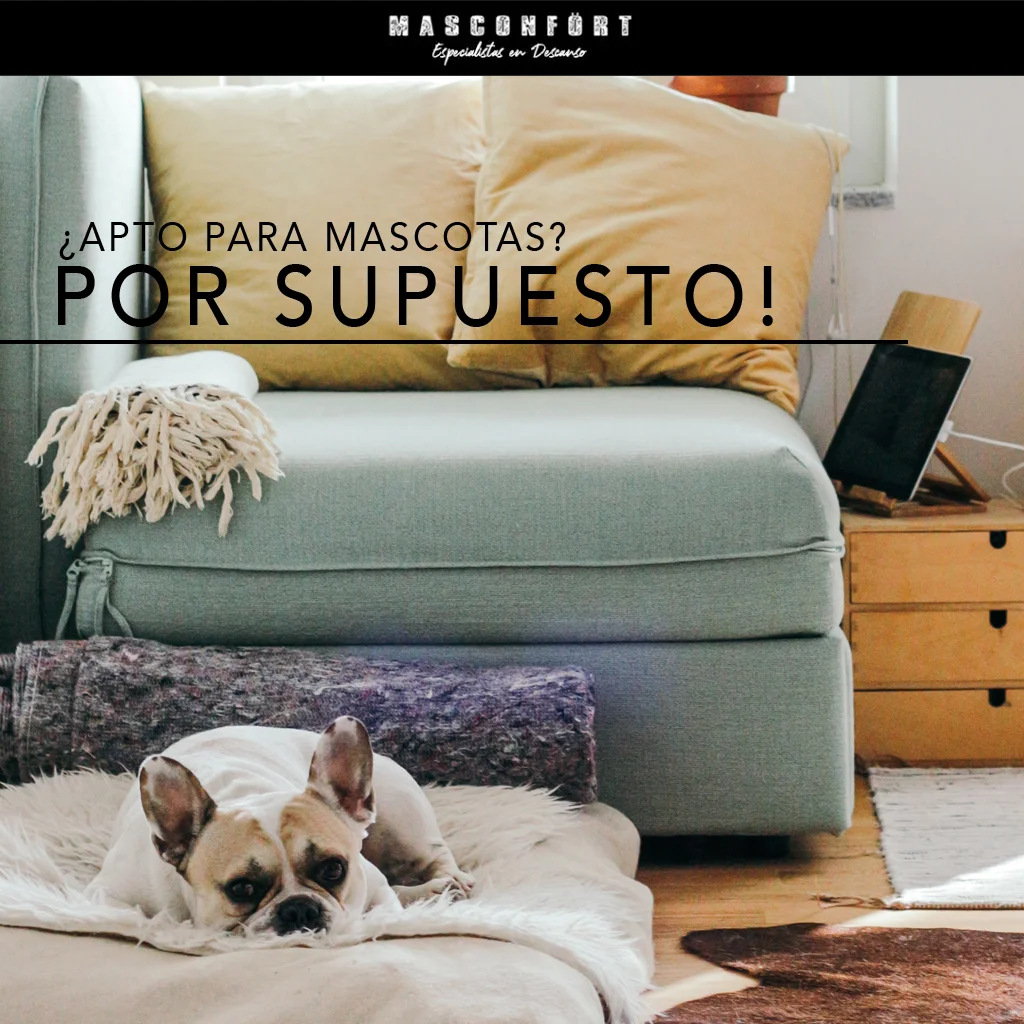 Tienes una mascota? Sofá apto!!! 1 mascotas - Masconfort Estepona